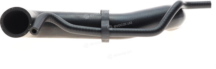 Solgy 112005