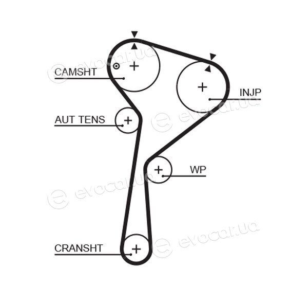 Gates K015675XS