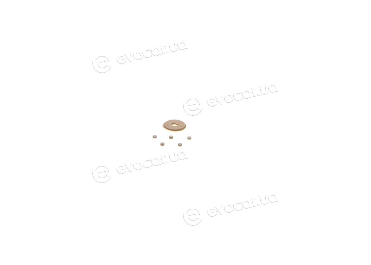 Bosch F 00Z C99 110