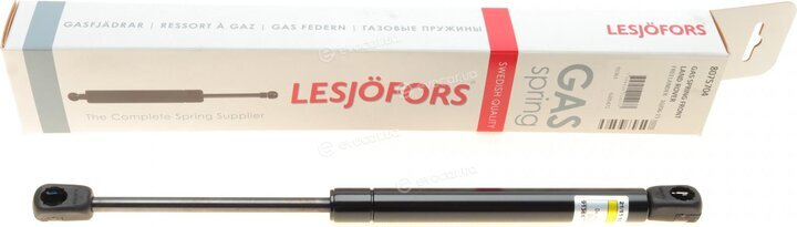 Lesjofors 8075704