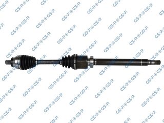 GSP 218341