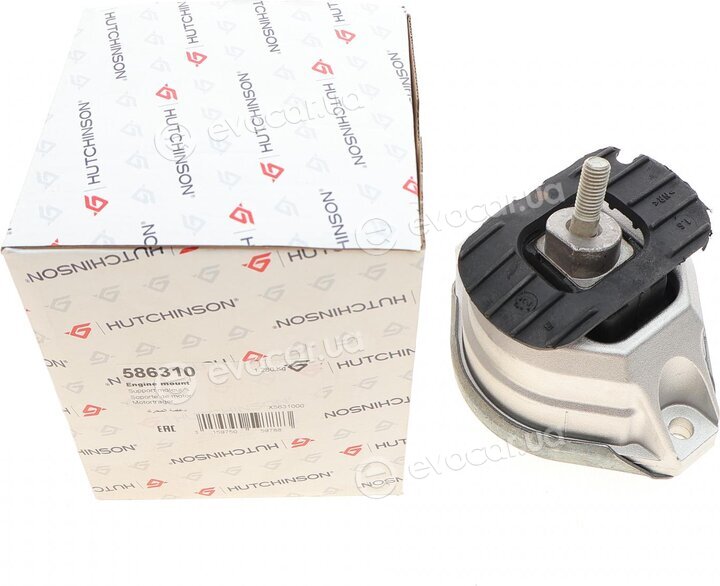 Hutchinson 586310