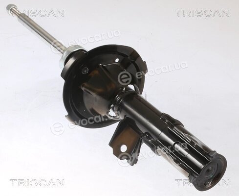Triscan 8705 43110