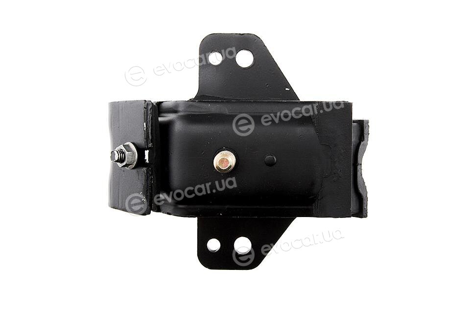 NTY ZPS-NS-050
