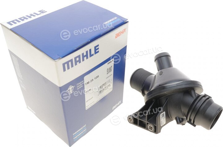 Mahle TM 25 108