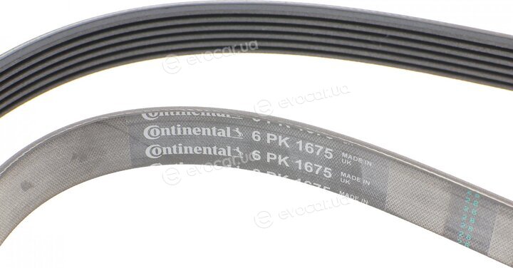 Continental 6PK1675