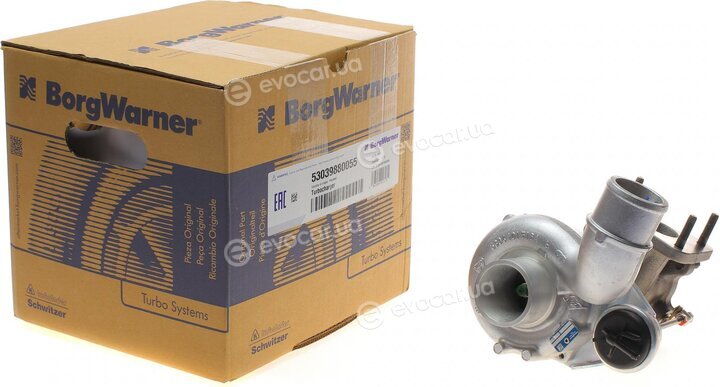 BorgWarner 53039880055