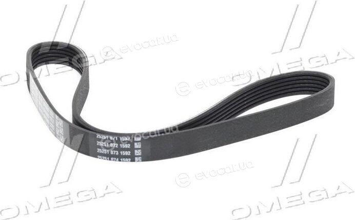 Dayco 6PK966
