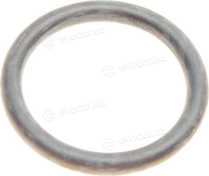Elring 572.860