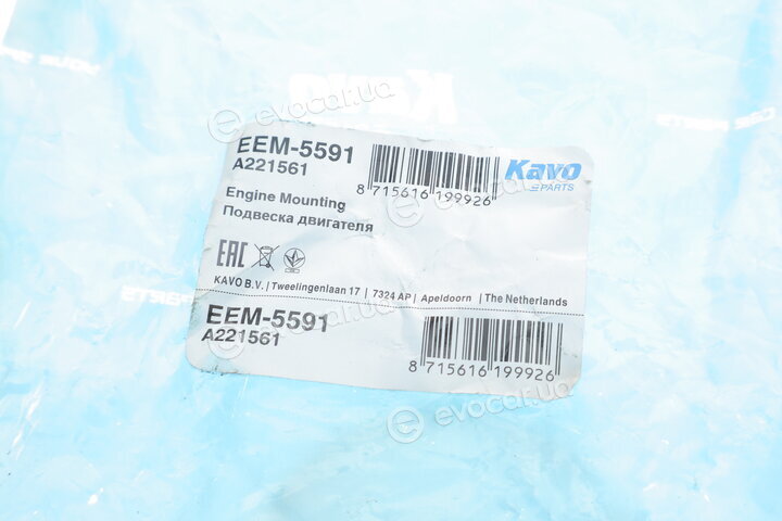 Kavo EEM-5591