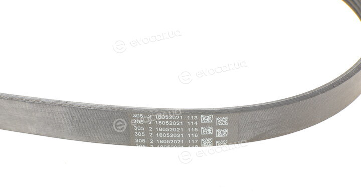 Continental 6PK1033 ELAST