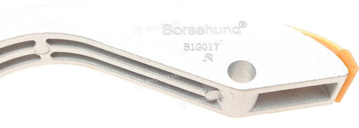 Borsehung B1G017