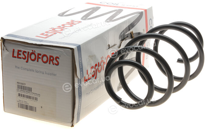 Lesjofors 4015677