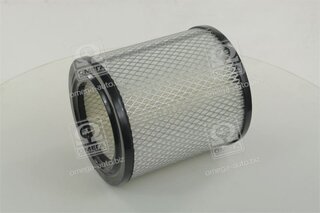 Champion CAF100431C