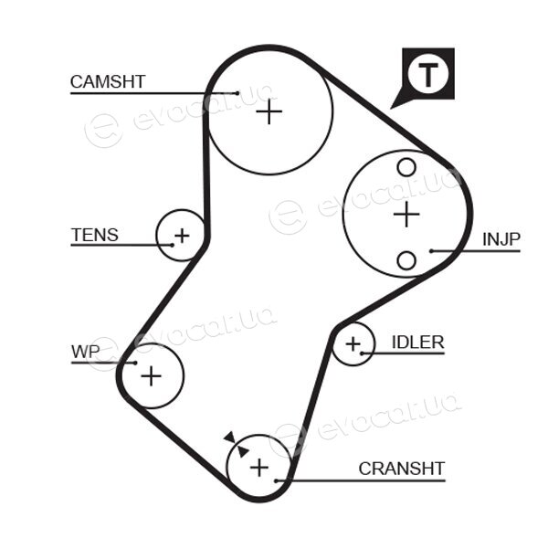 Gates K025049XS