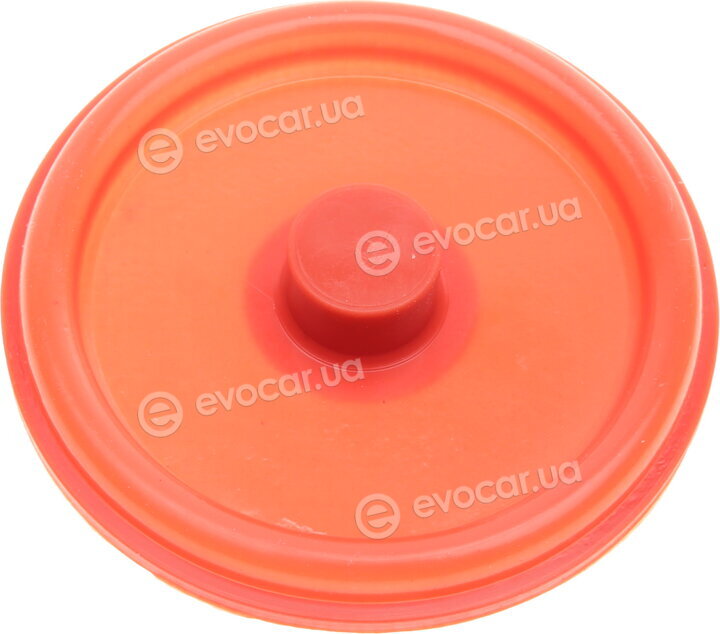 Solgy 124005