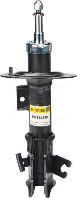 Raiso RS310838