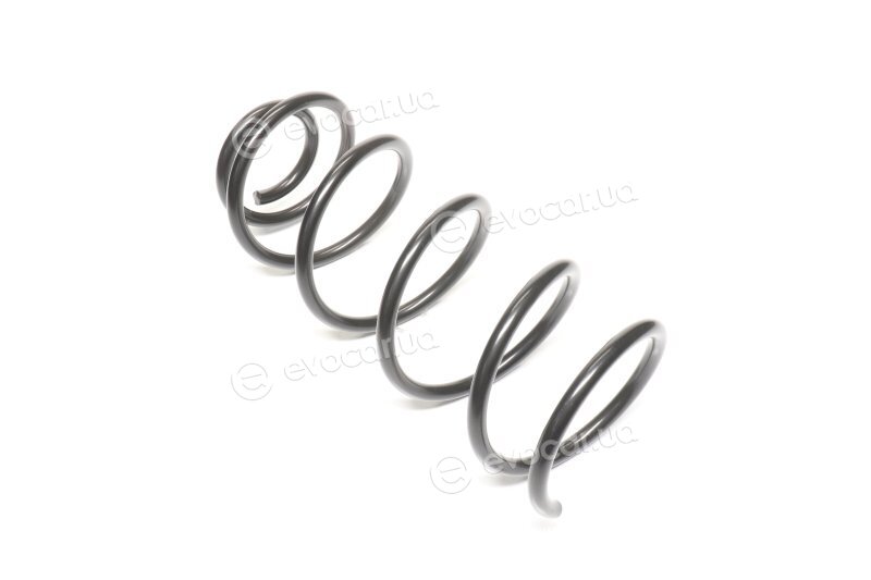 Lesjofors 4004234