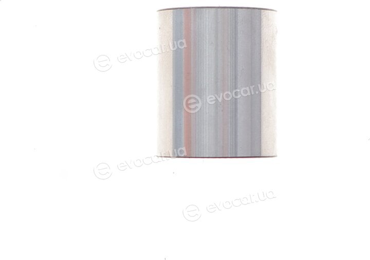 Bosch 1 987 946 681