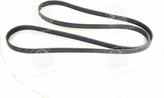 SKF VKMV 6PK2155