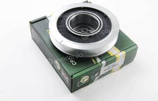 BGA DP0202