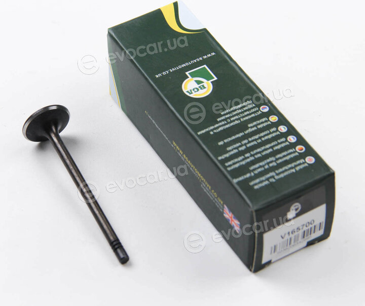 BGA V165700