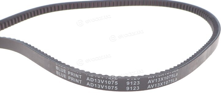 Blue Print AD13V1075