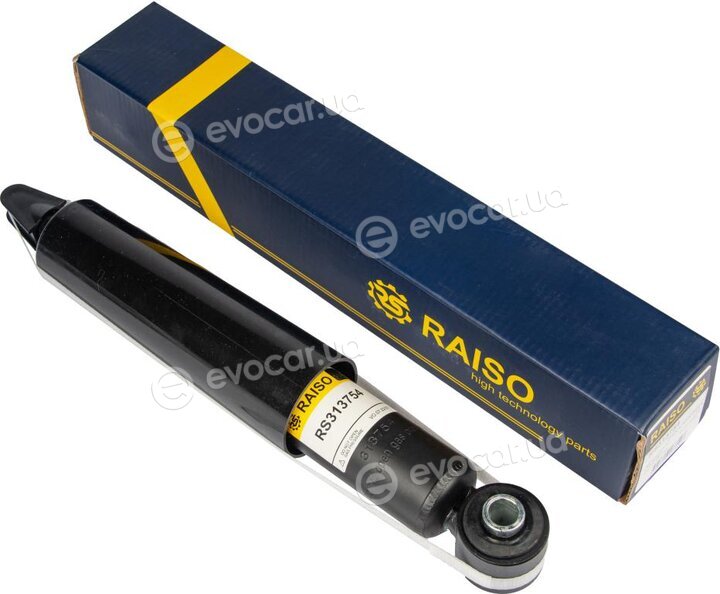 Raiso RS313754