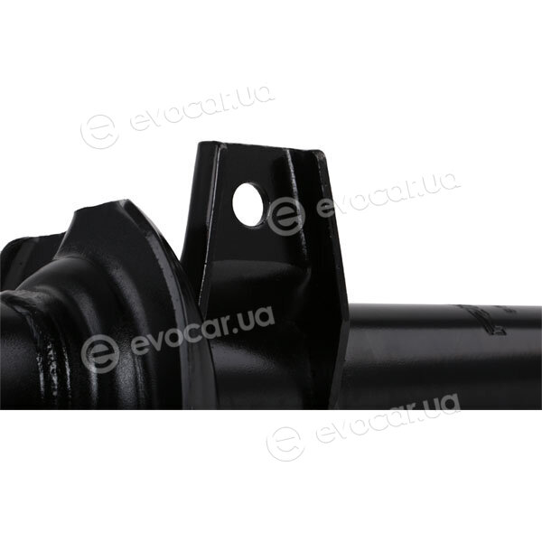 Ridex 854S1731