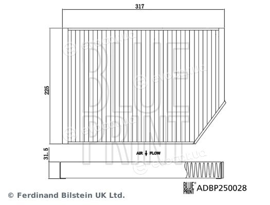 Blue Print ADBP250028