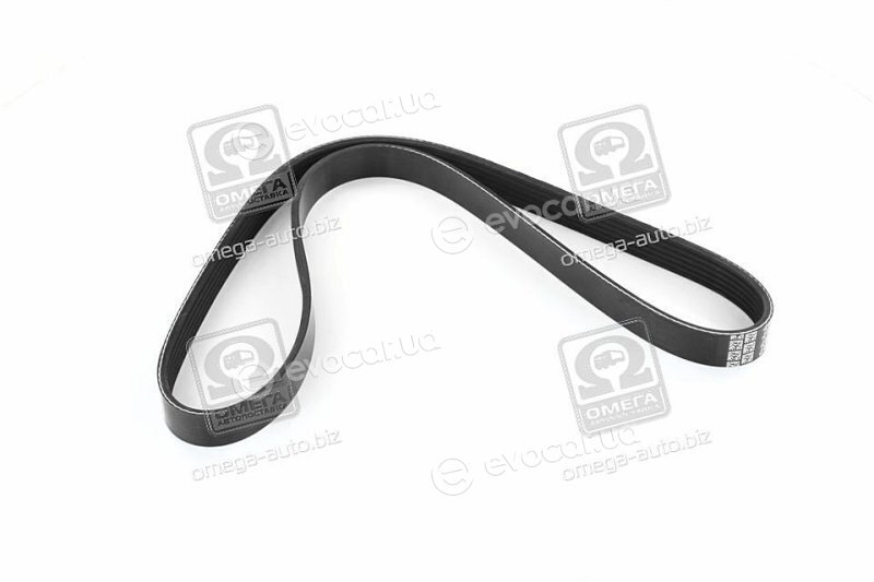 Dayco 6PK1030