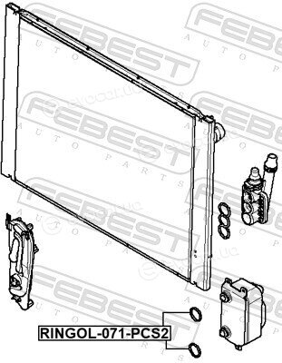 Febest RINGOL-071-PCS2