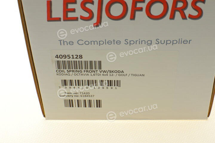Lesjofors 4095128