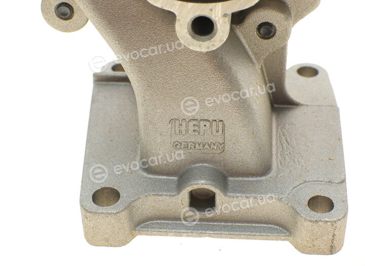 Hepu P246