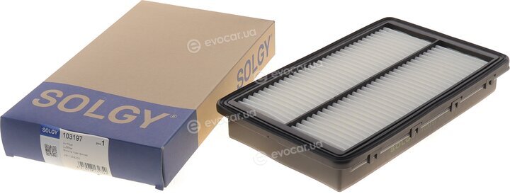 Solgy 103197