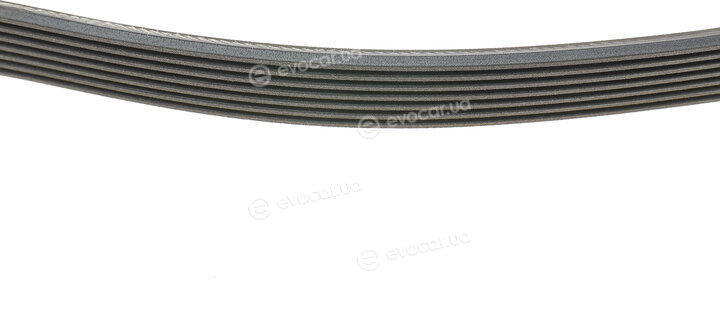 Continental 7PK1675