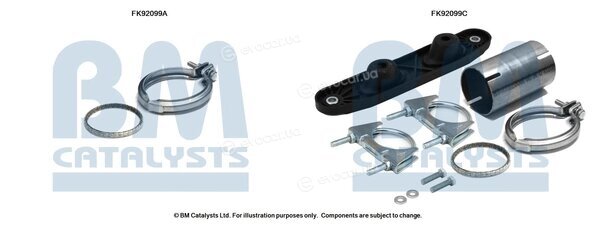 BM Catalysts FK92099