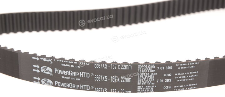 Gates K015567XS
