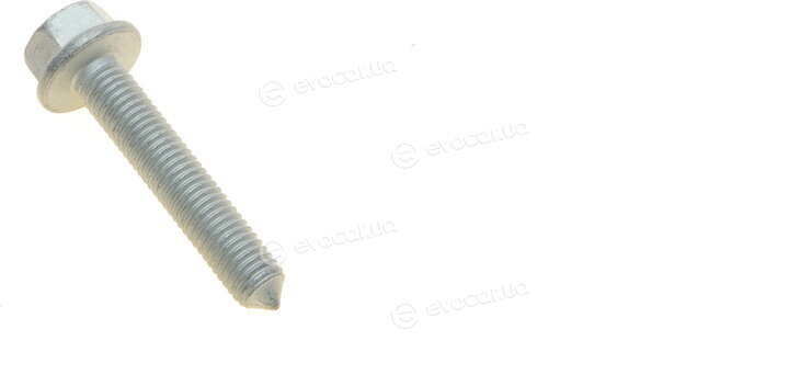 Borsehung B10806