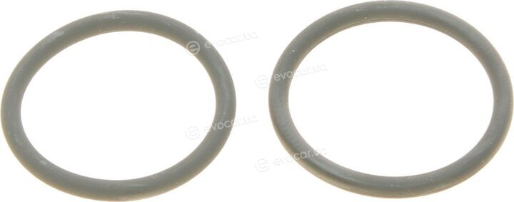 Elring 587.300