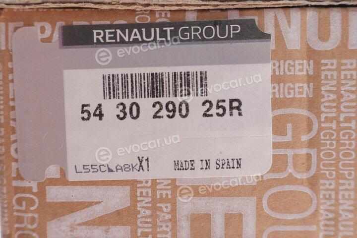 Renault / Nissan 543029025R