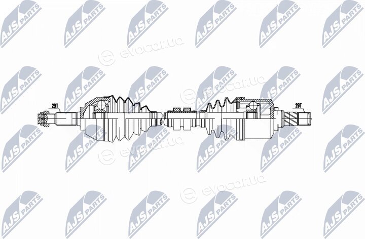 NTY NPW-NS-042
