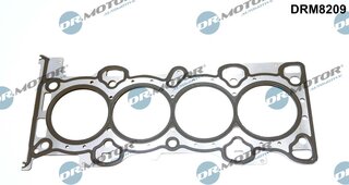 Dr. Motor DRM8209