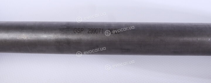 GSP 299071
