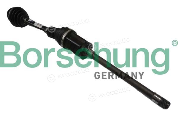 Borsehung B12493