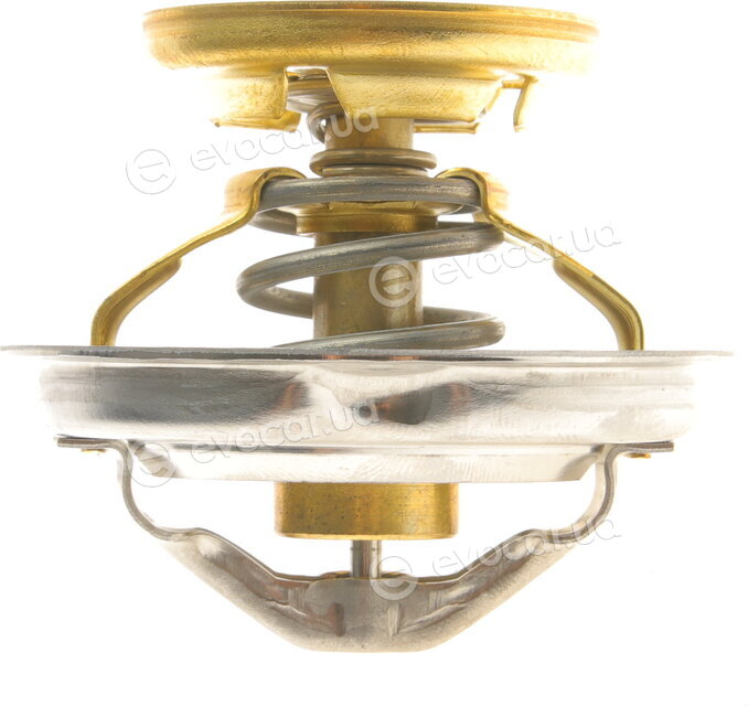 Wahler / BorgWarner 4176.85D