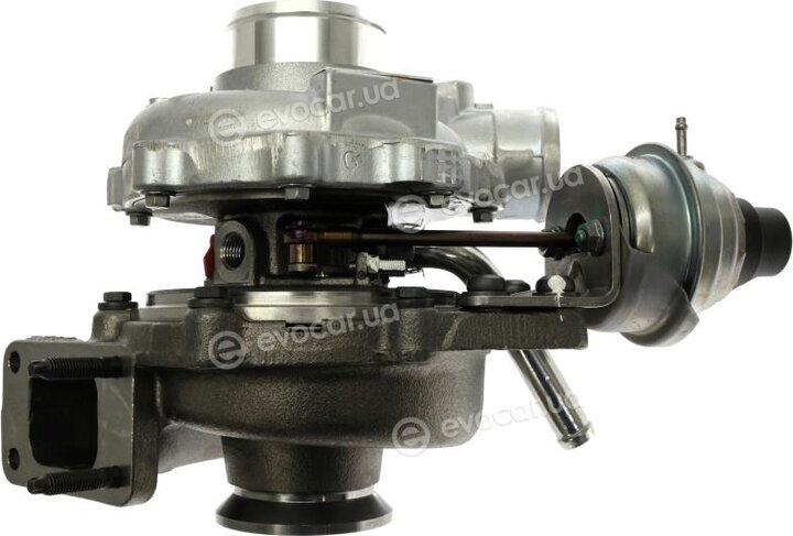 Starline TD S1229