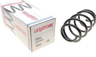 Lesjofors 4004271