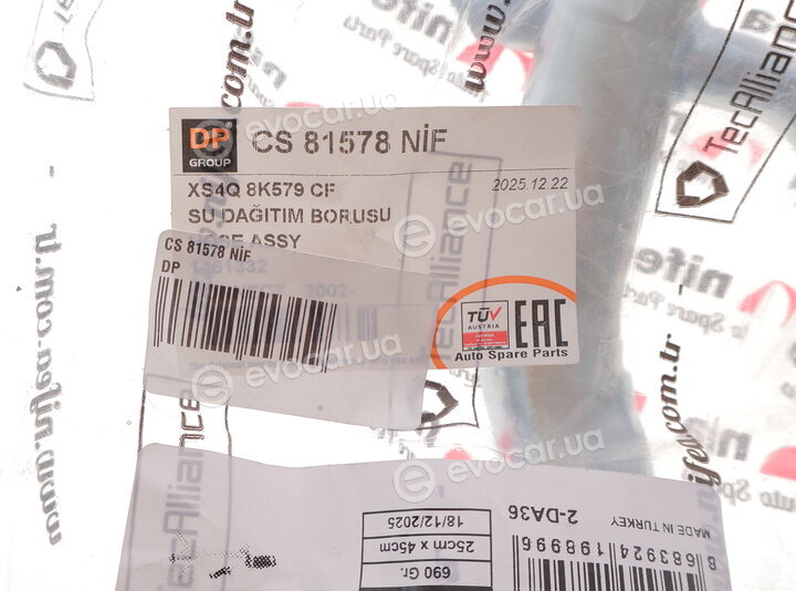 DP CS 81578 NİF