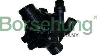 Borsehung B10551